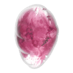 Satisfyer Cloud Dancer blu - immagine 4