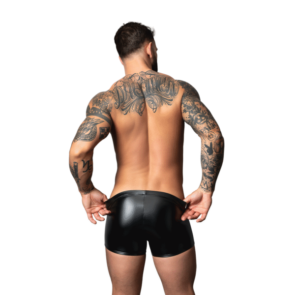 Male Power Wetlook Pouch Short