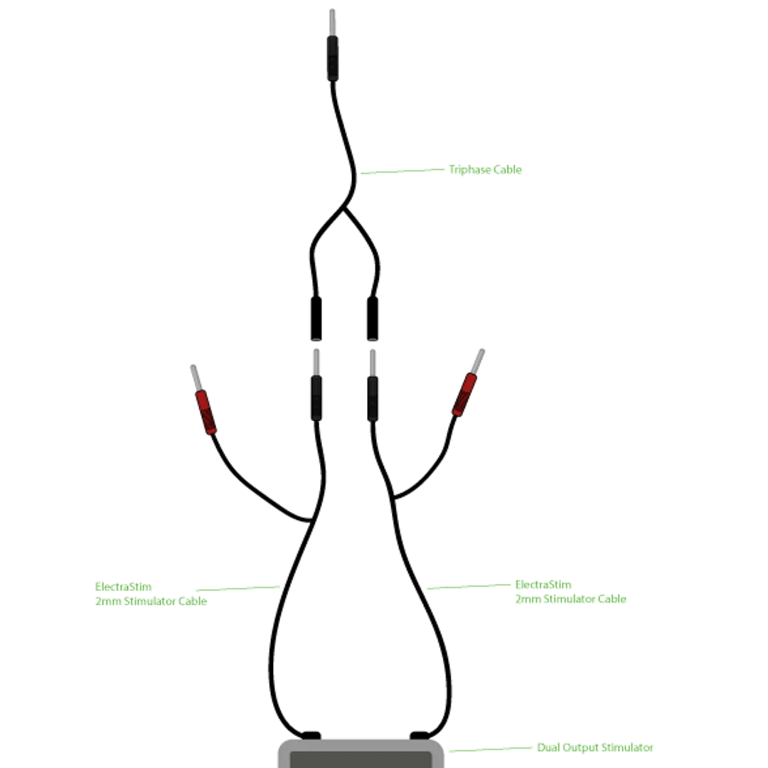 Cavo combinato trifase ElectraStim - immagine 2